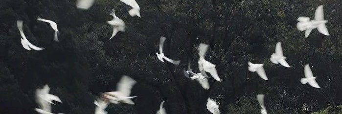 noboddyy0_'s profile banner image