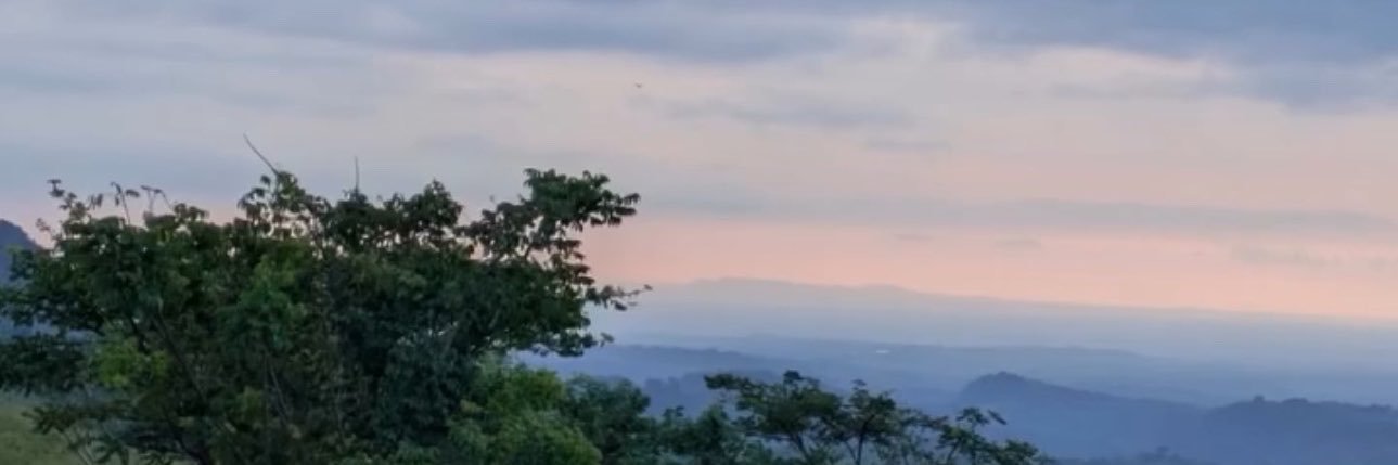 NicolasMirandu's profile banner image