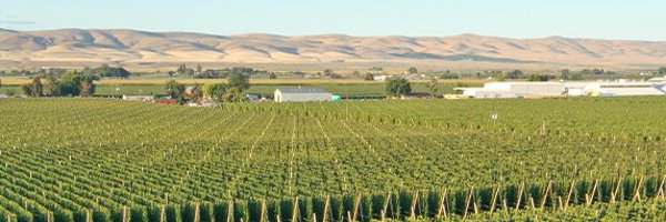 Hopsteiner Profile Banner