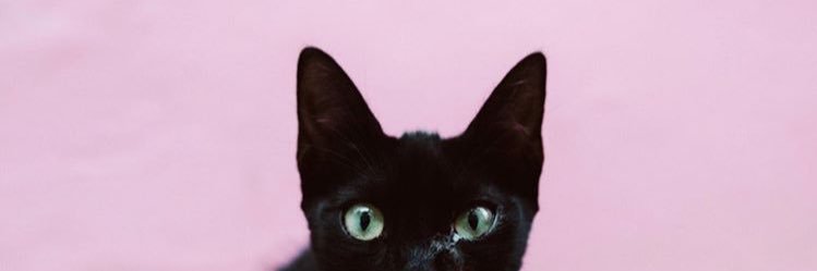 yuliarnas's profile banner image
