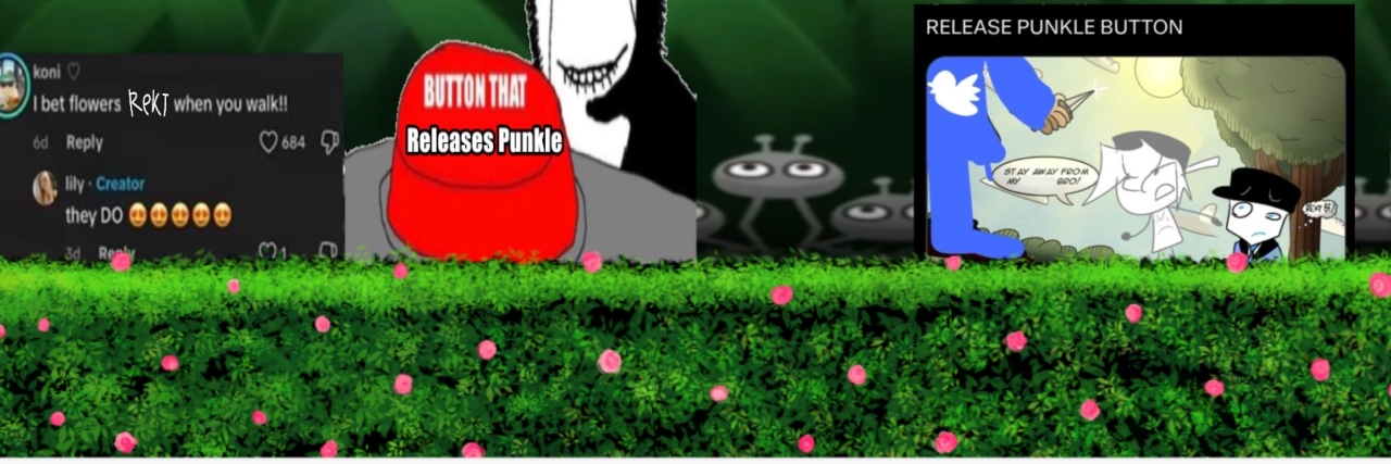 Punkle_yeah2's profile banner image