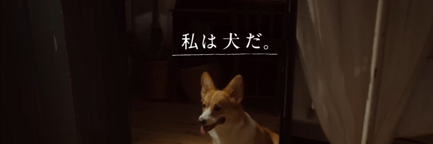 iihu_39's profile banner image