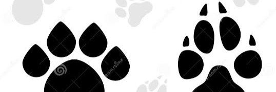 pawsfurryy's profile banner image