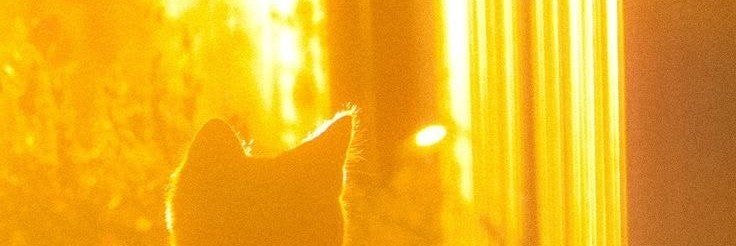 Hsupha35's profile banner image