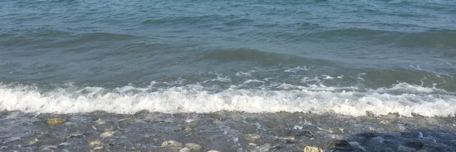 damisecology's profile banner image