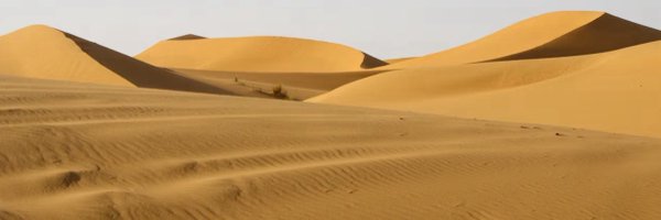 tweetinjules Profile Banner