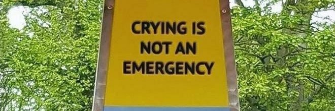 alex jegtnes ✨ banner