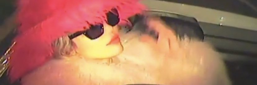 vibesformiley's profile banner image