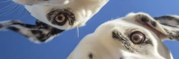Livingthefwhqs's profile banner image