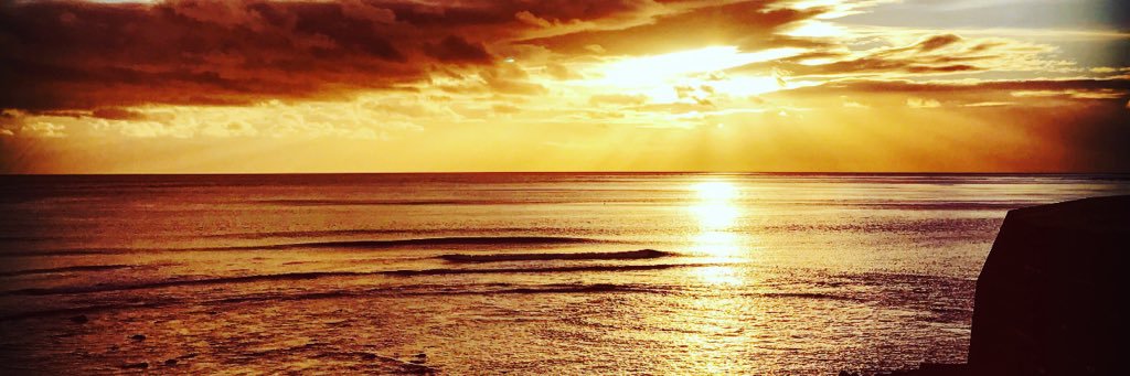 anusheh86's profile banner image