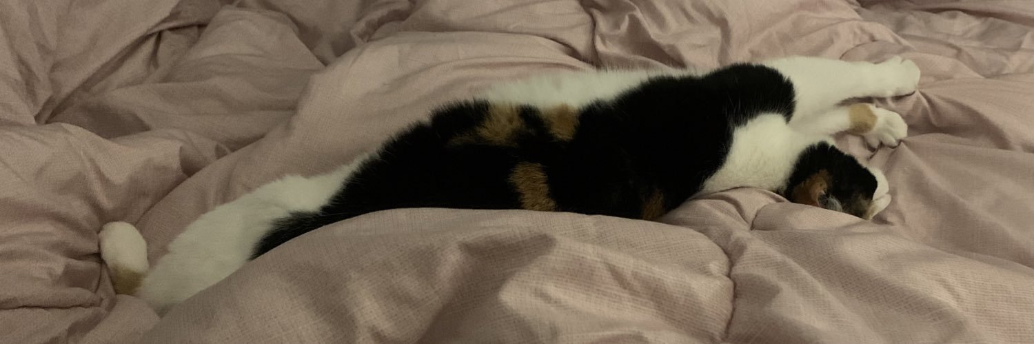 Susan Anderson banner