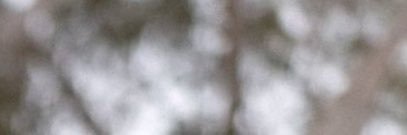 tobytboyy's profile banner image