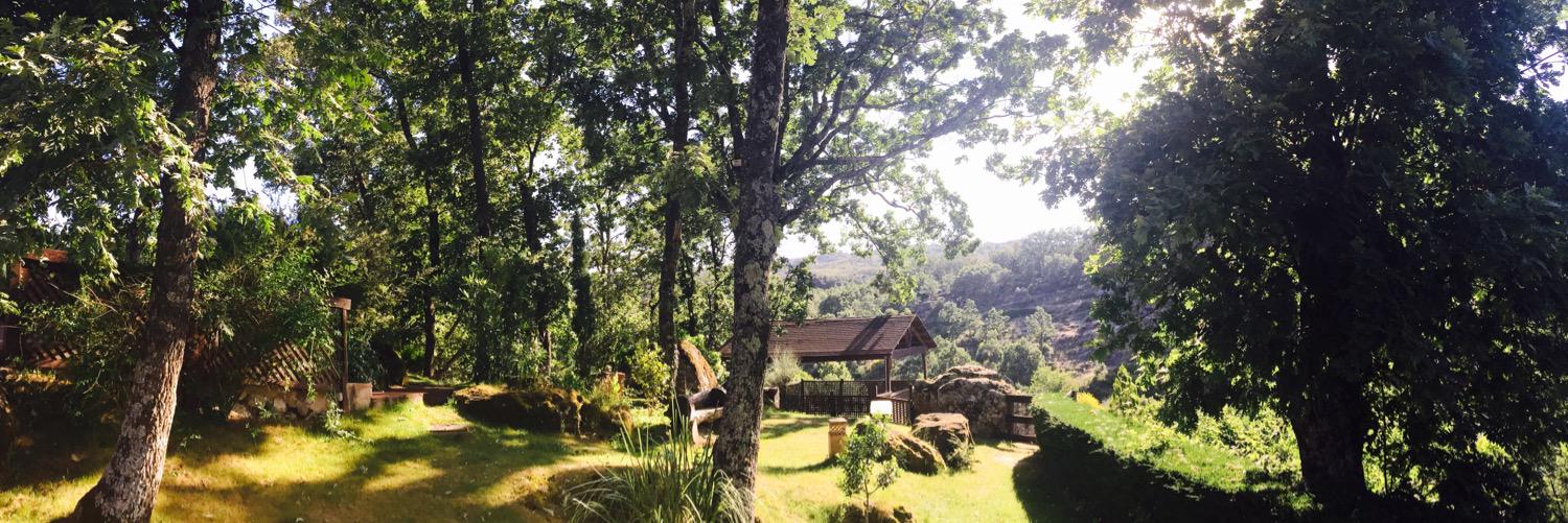 marta beltrán banner