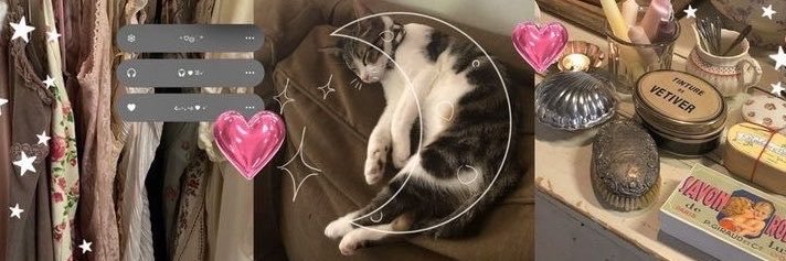 whimscat's profile banner image