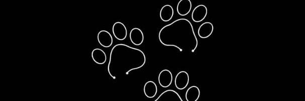 ZooBabygn's profile banner image
