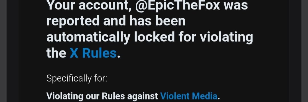 EpicTheFox2's profile banner image