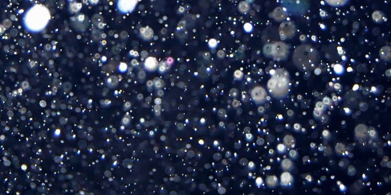 jazerella's profile banner image