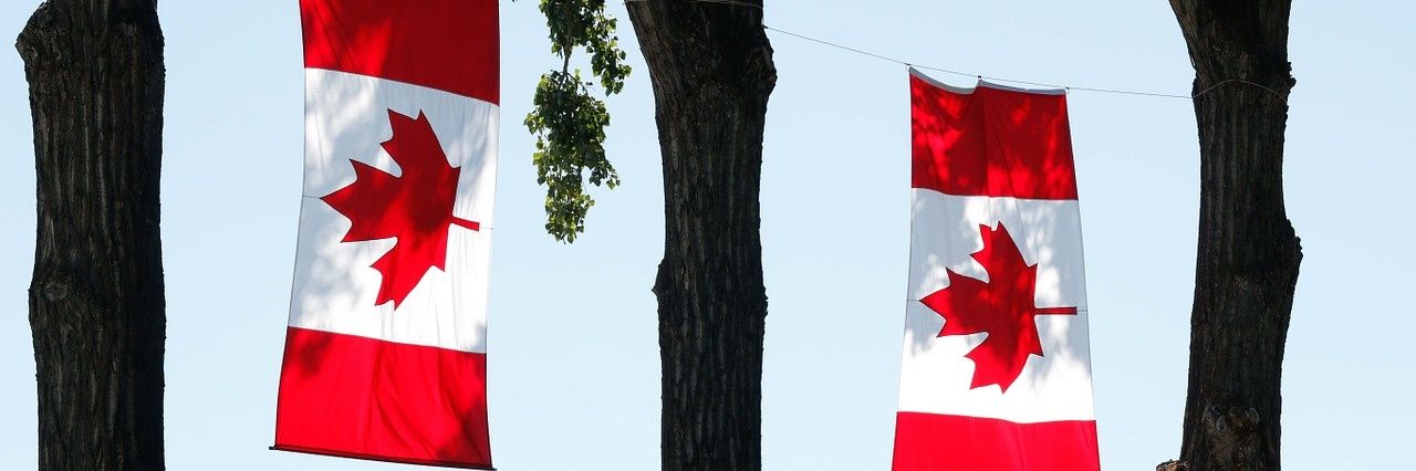 ainslieview's profile banner image