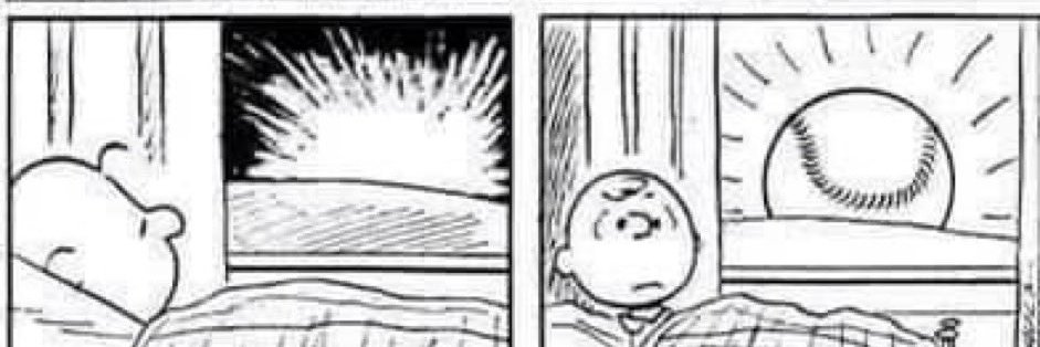 Take Me Out To The Ballgame banner