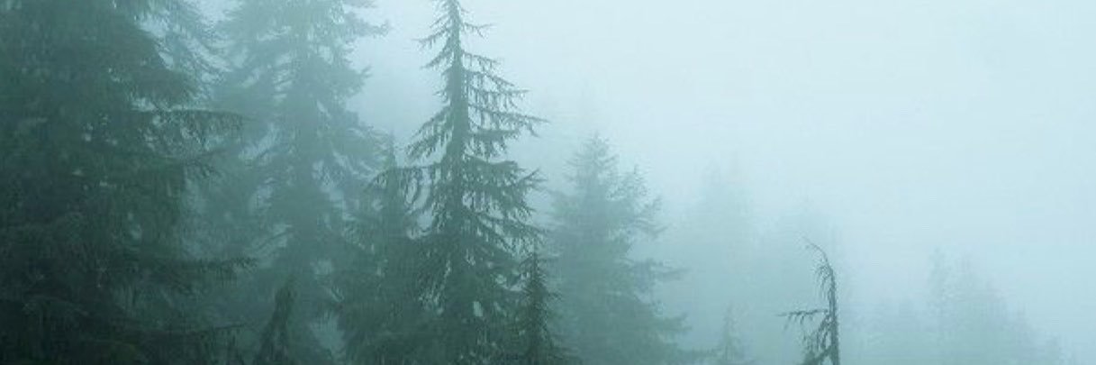 expensiveswan7's profile banner image