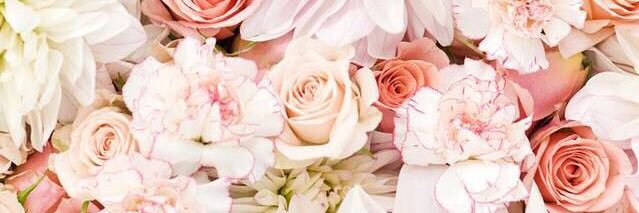 bethmac12's profile banner image