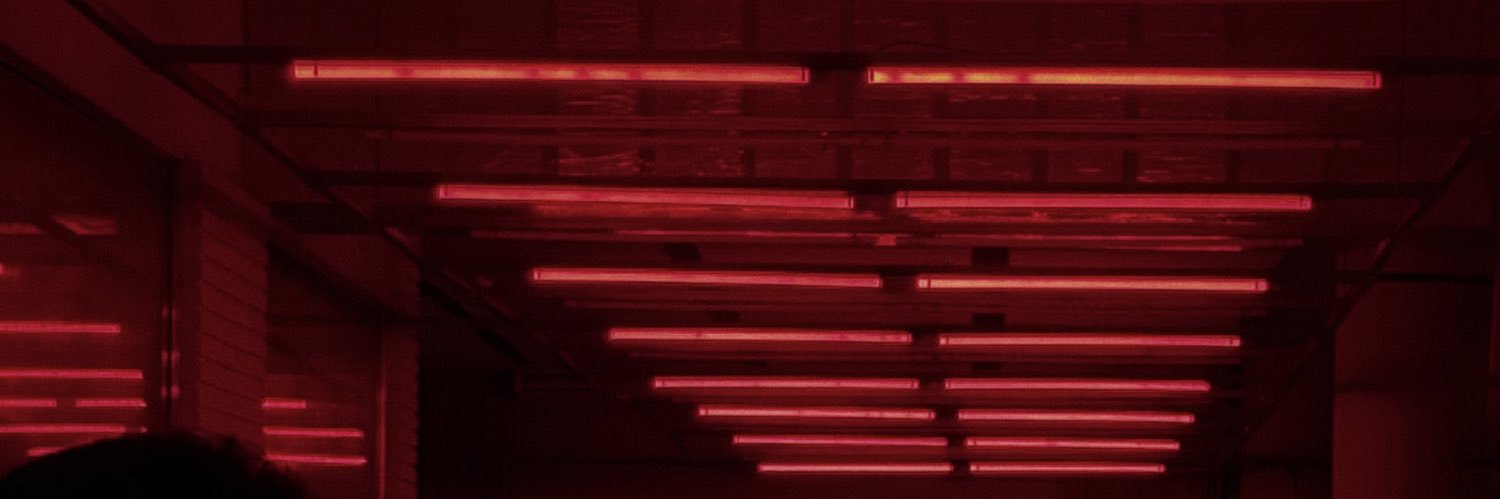 bruno banner