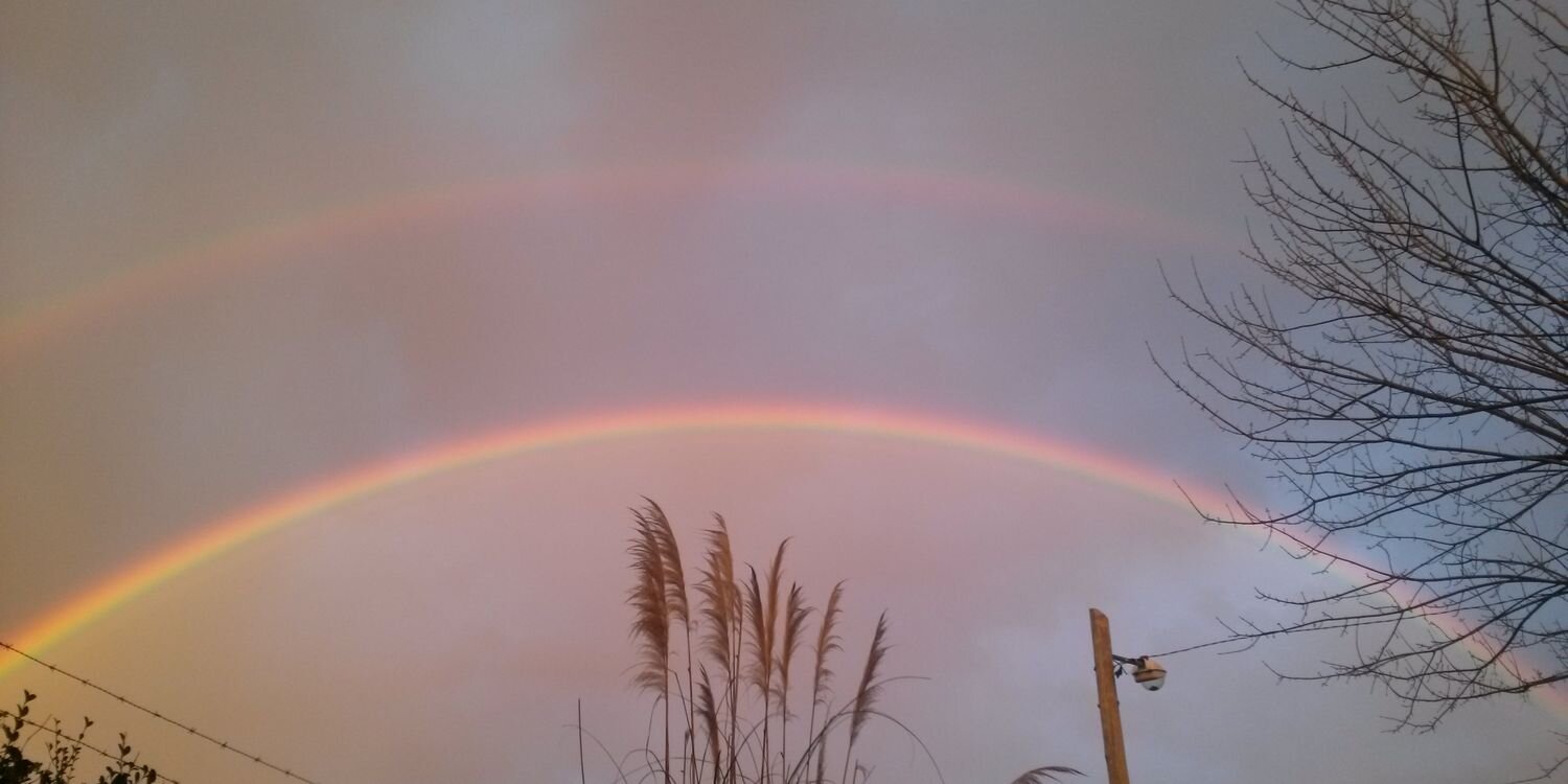 Deathtank75's profile banner image