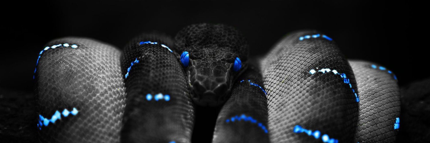 XecusM's profile banner image
