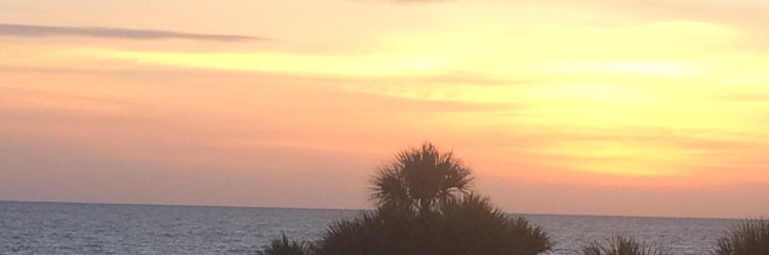 Michelle Chamberlain banner