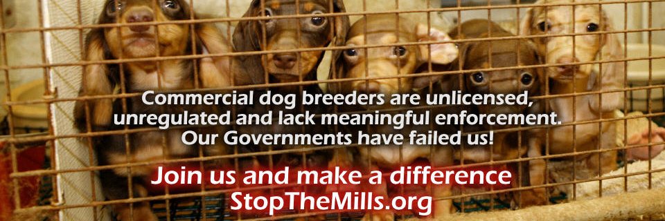 StopMillsNow's profile banner image