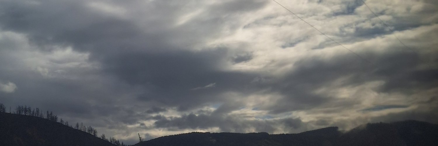 Weedzazard's profile banner image