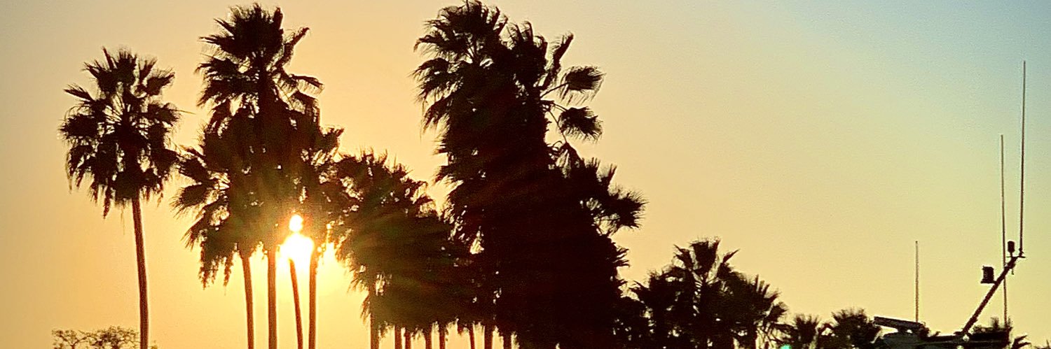Wesavelli's profile banner image