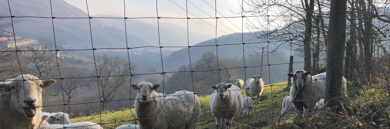 Callum Williams banner