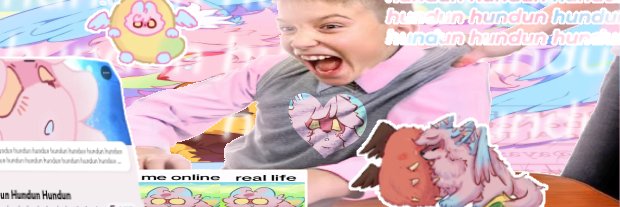 nasoshundun's profile banner image