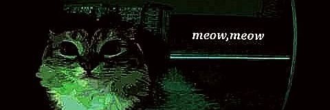 Bellotin_34's profile banner image
