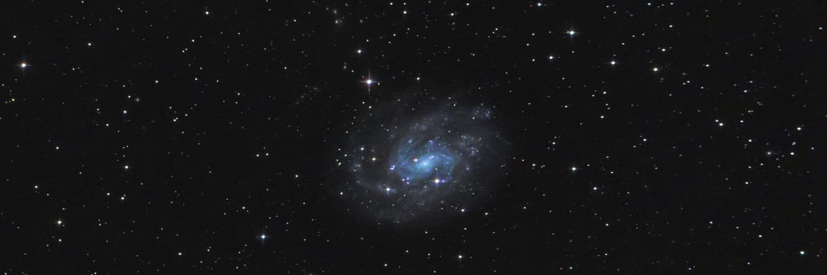 trxston's profile banner image