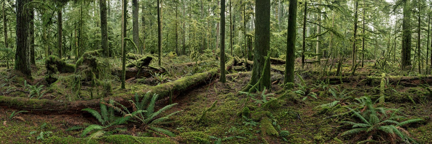 The Anthropocene Project banner