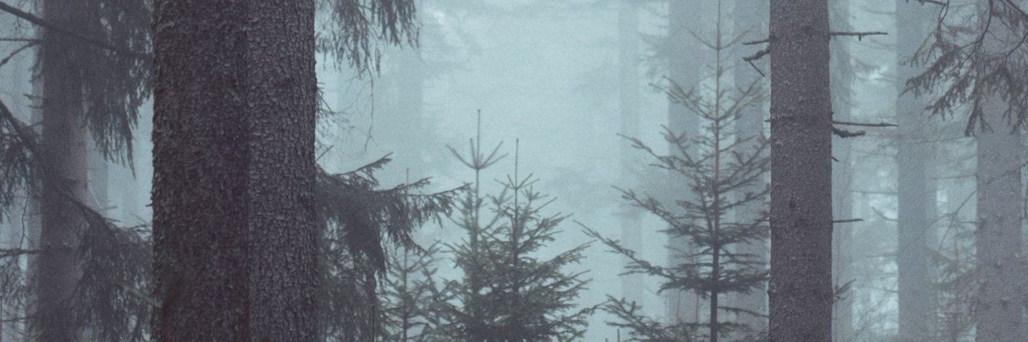 Pwotty's profile banner image