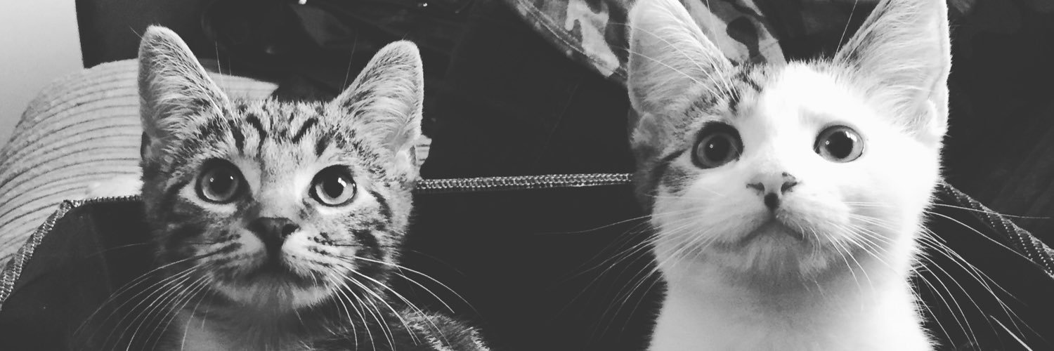 melissaajadeex's profile banner image