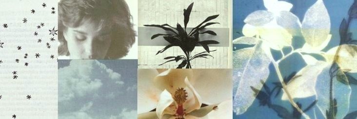ianjesng's profile banner image