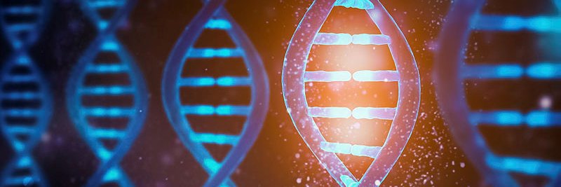 Genetics at BMC's banner