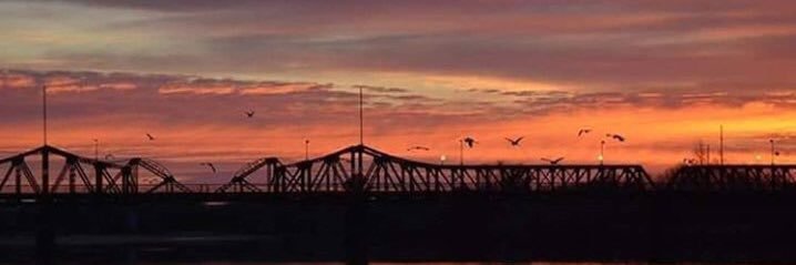 Gabriel Olano banner