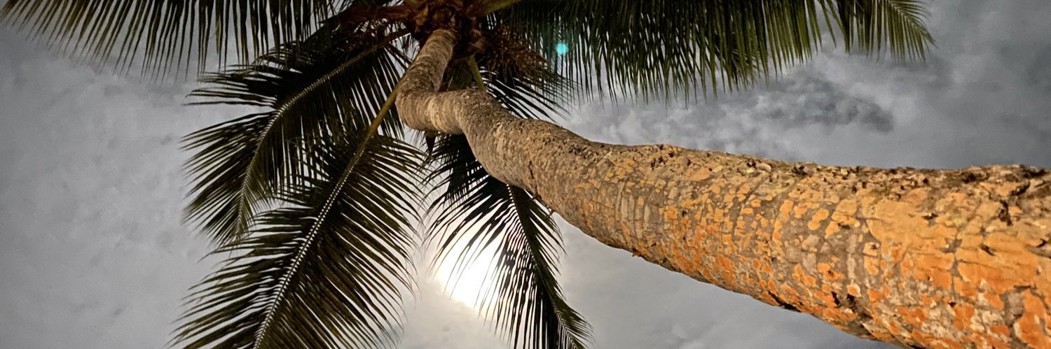 Meririva's profile banner image