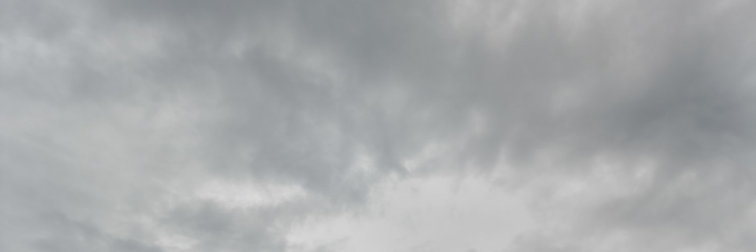 leenooire's profile banner image