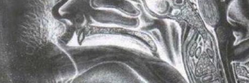 LowLow1db9's profile banner image