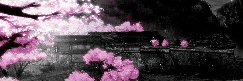 yniixZ's profile banner image