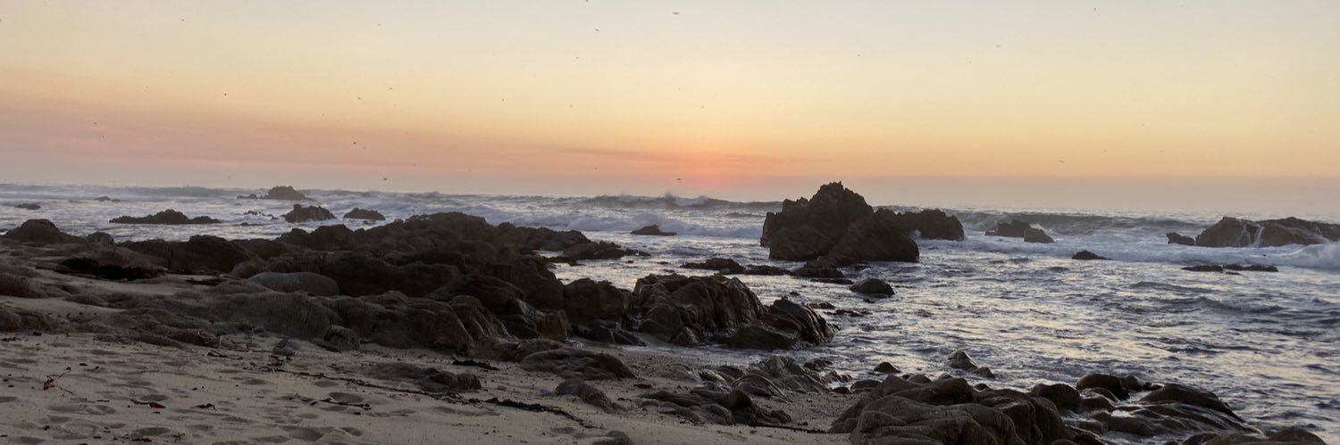 DianneSF's profile banner image