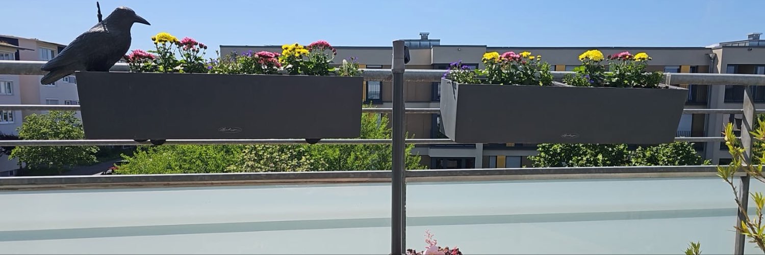 BetWithMaya_'s profile banner image