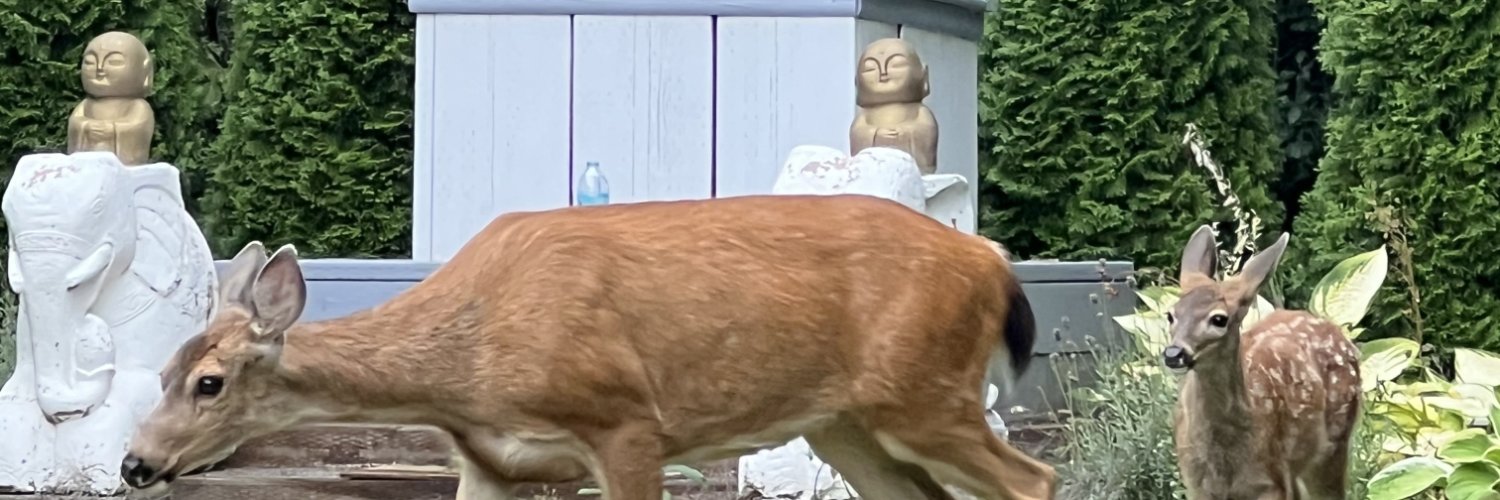 Criskv5's profile banner image