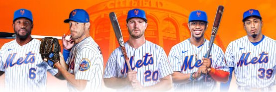 50 Years a Mets Fan banner